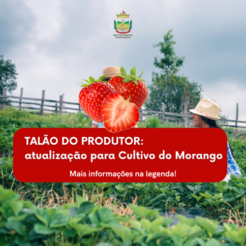 Fotos