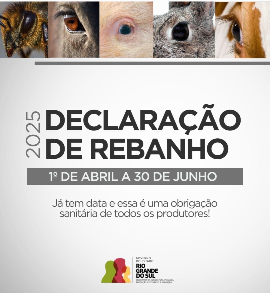 Fotos