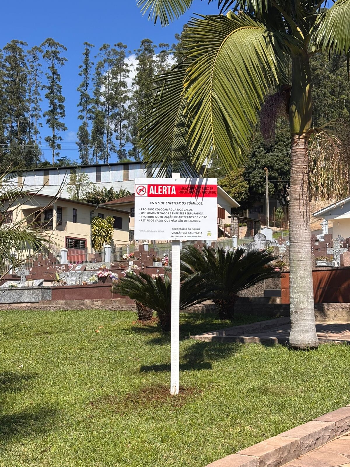 WhatsApp Image 2025-09-24 at 10.27.04.jpeg