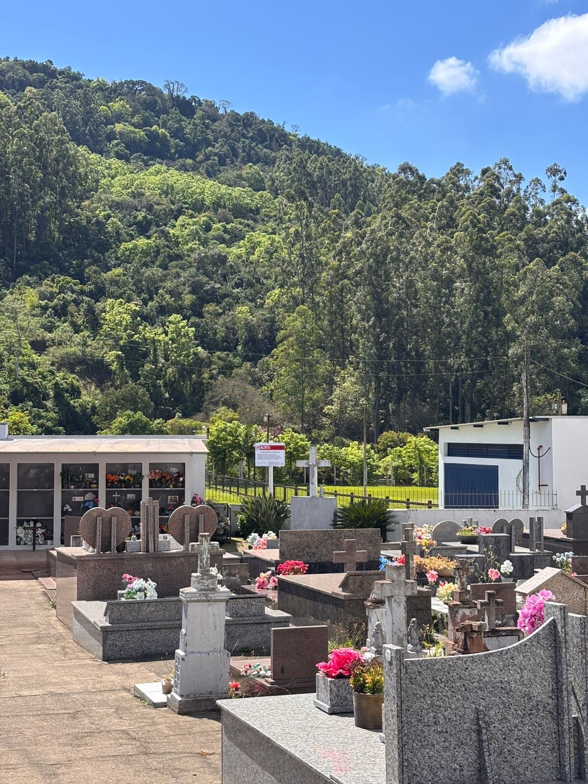 WhatsApp Image 2025-09-24 at 10.55.19.jpeg