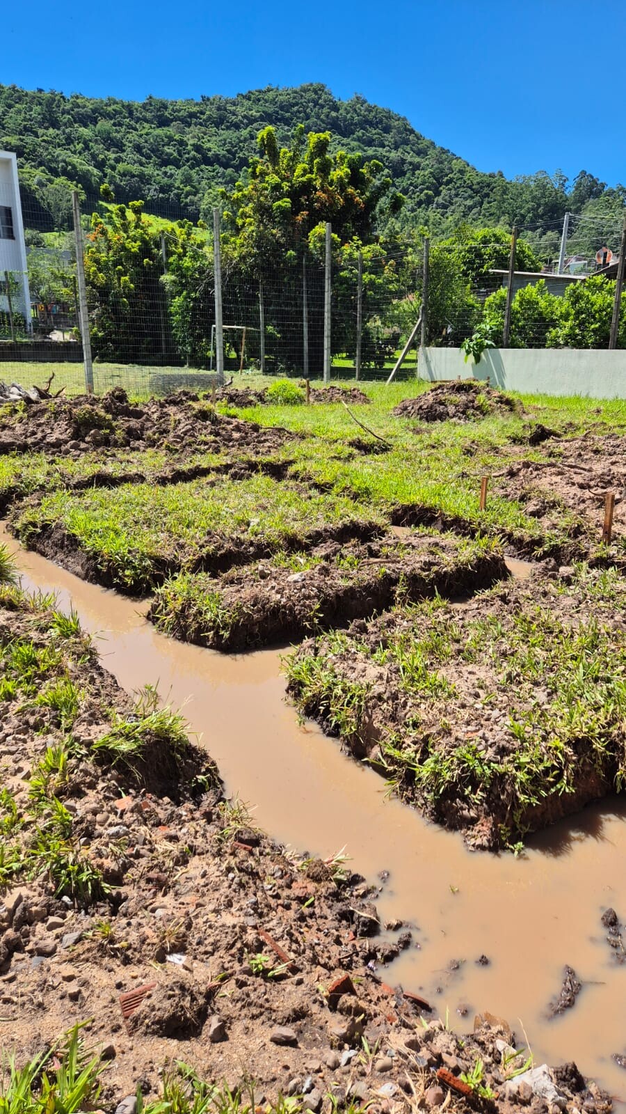 WhatsApp Image 2026-01-13 at 11.10.01.jpeg