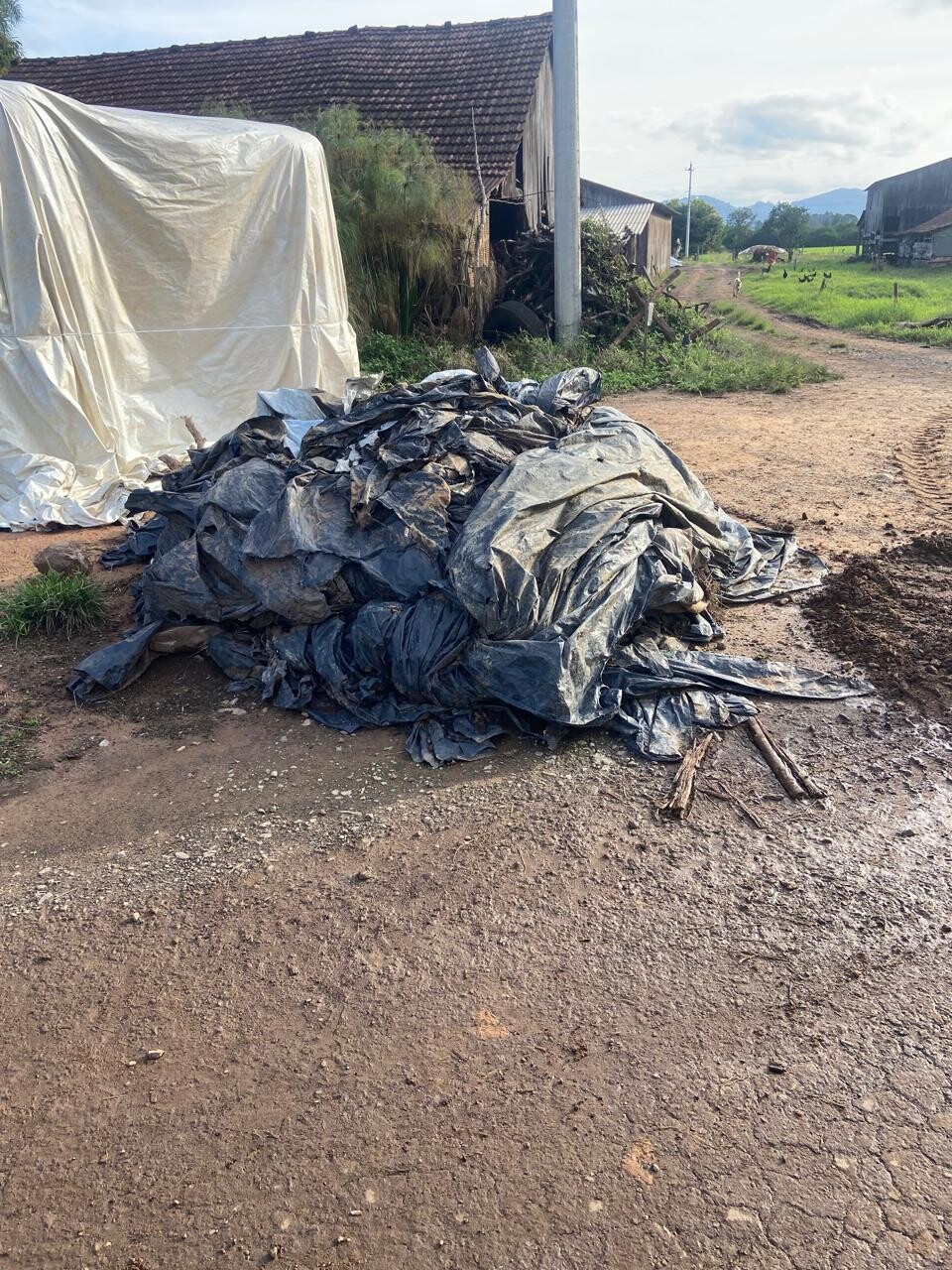 municipio-promove-forca-tarefa-para-recolhimento-de-residuos-agricolas