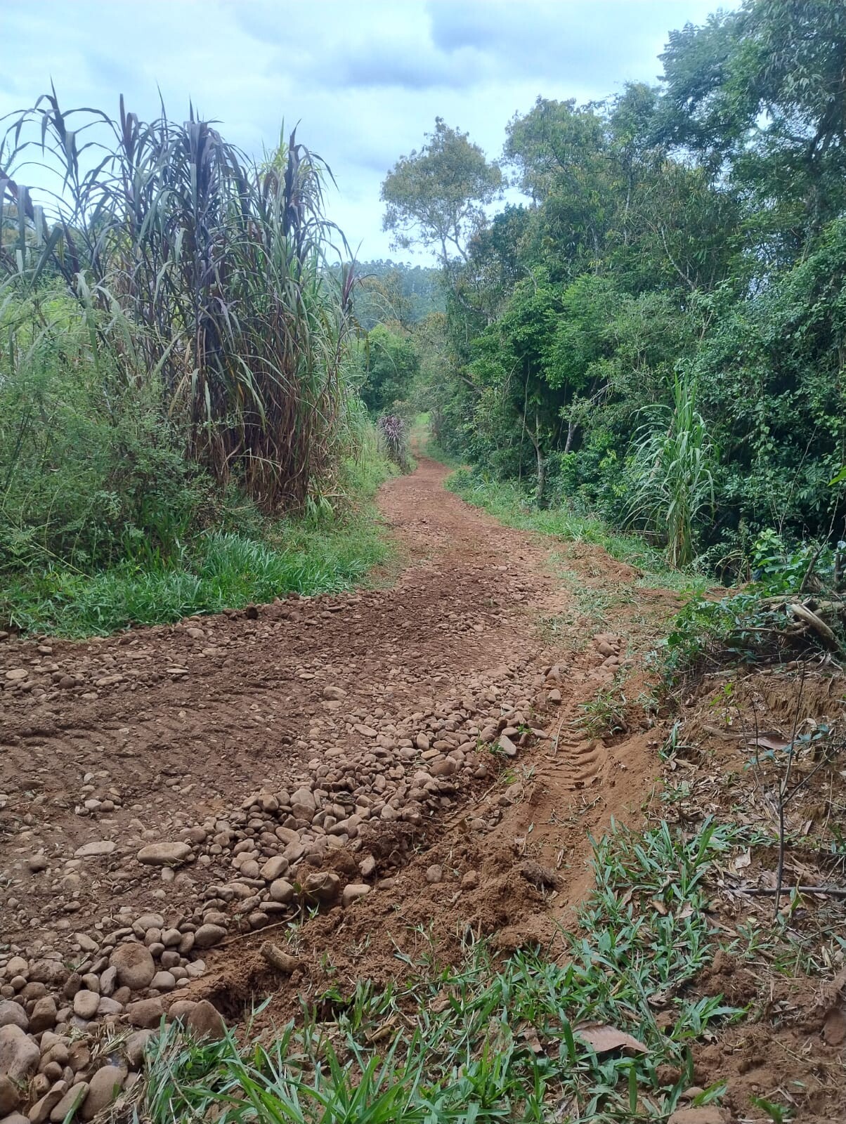 WhatsApp Image 2026-03-10 at 15.50.03 (1).jpeg