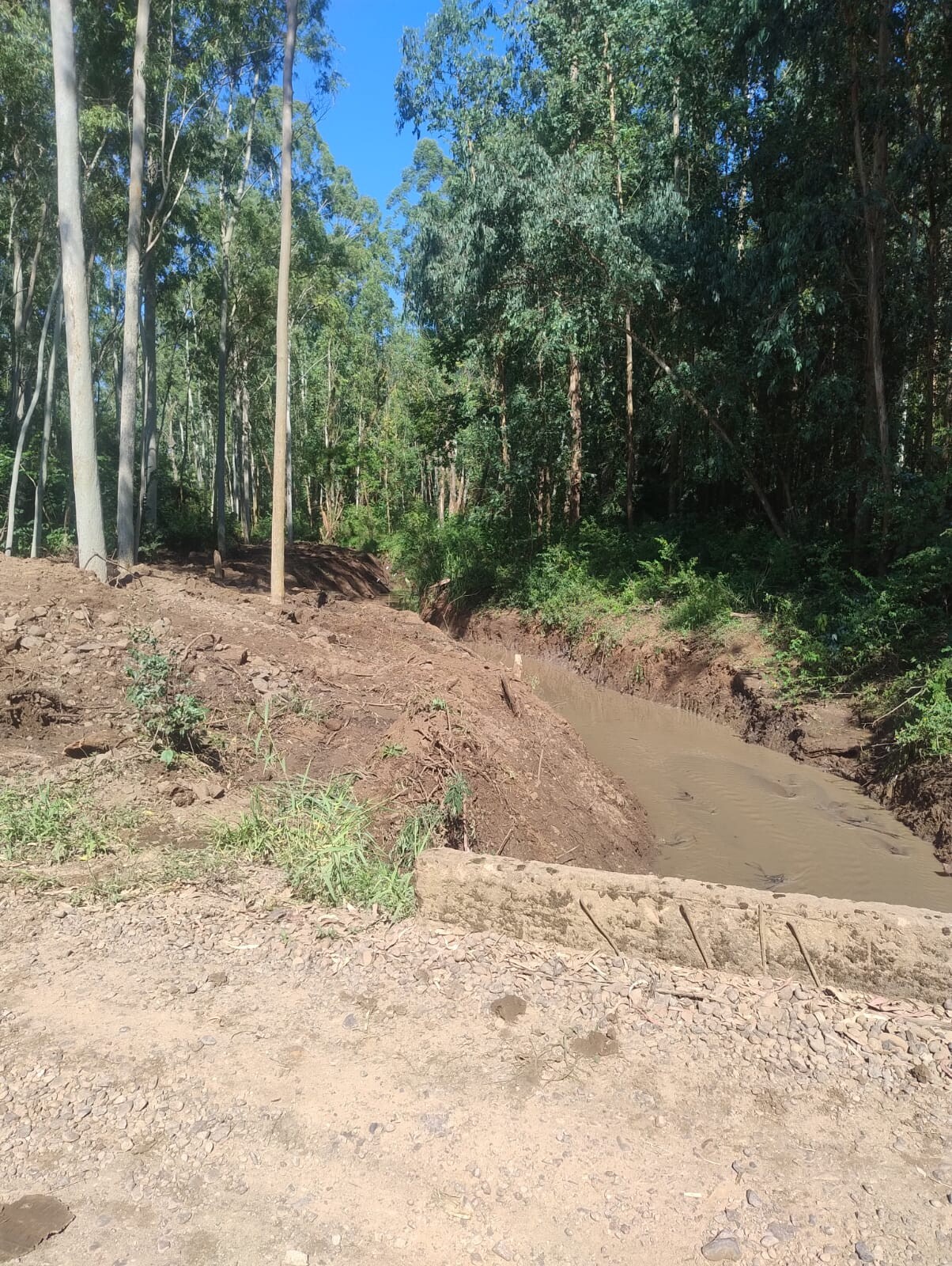 WhatsApp Image 2026-03-10 at 15.50.03.jpeg