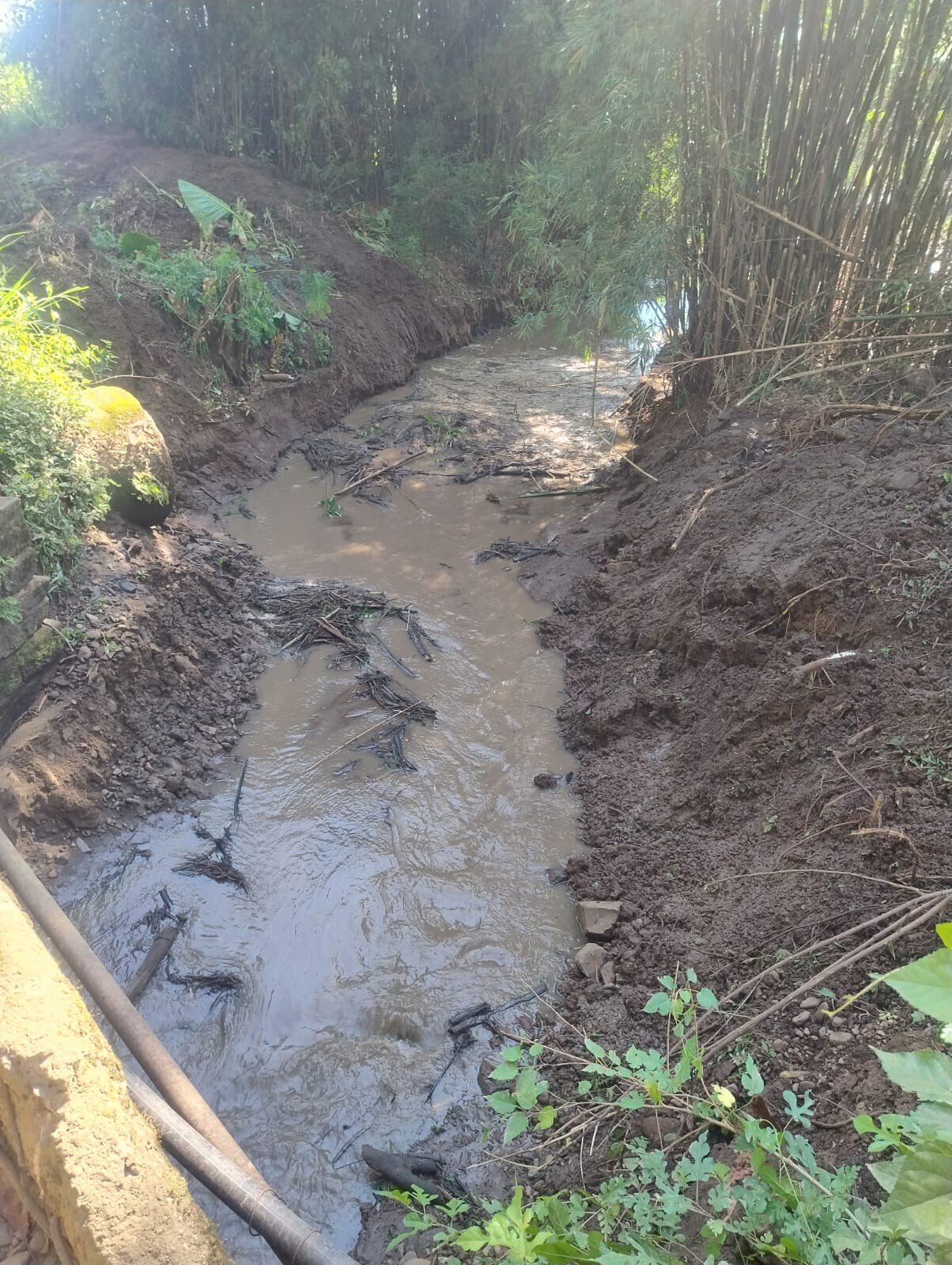 WhatsApp Image 2026-03-10 at 15.50.04.jpeg