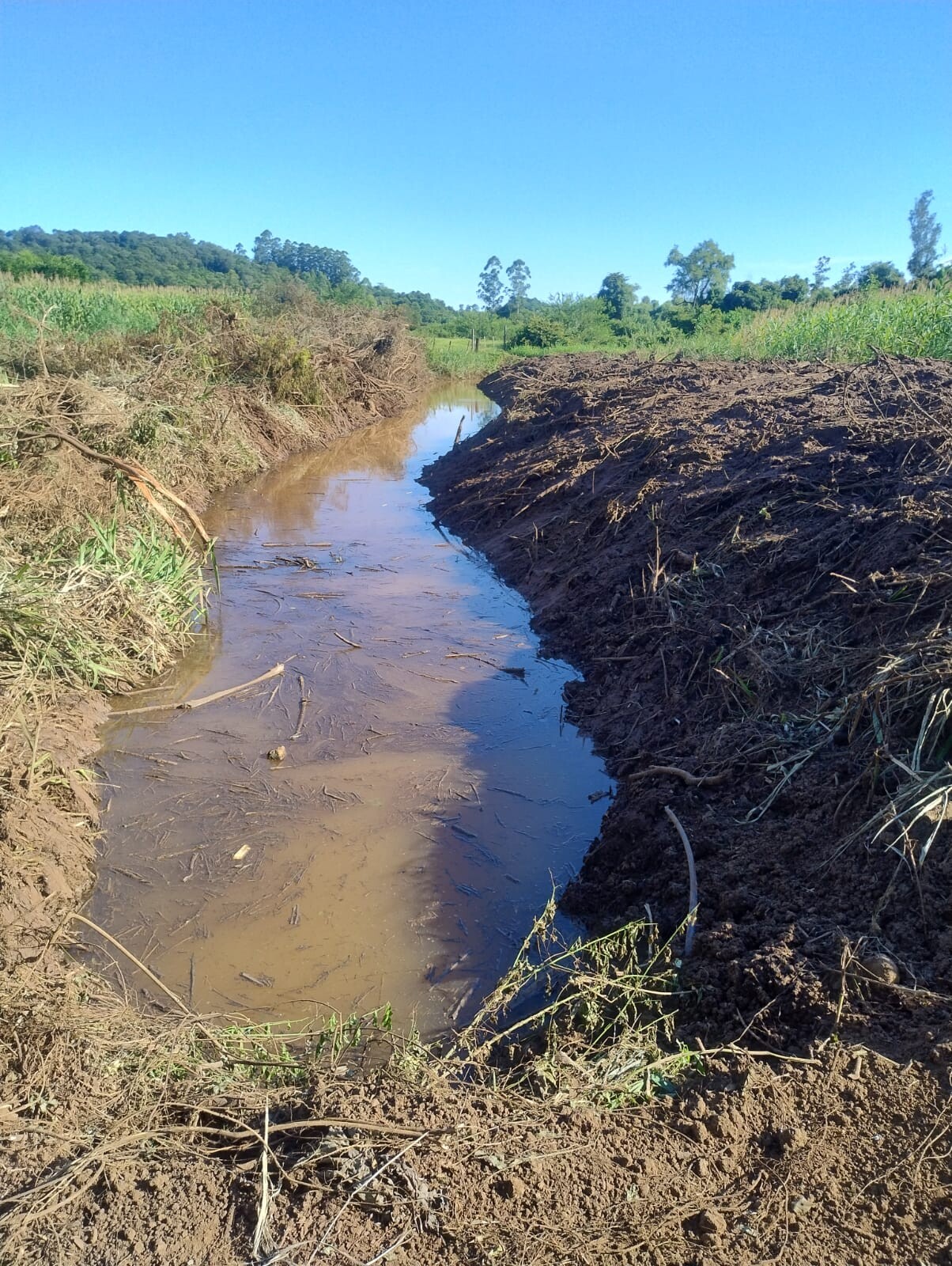 WhatsApp Image 2026-03-10 at 15.50.05 (1).jpeg