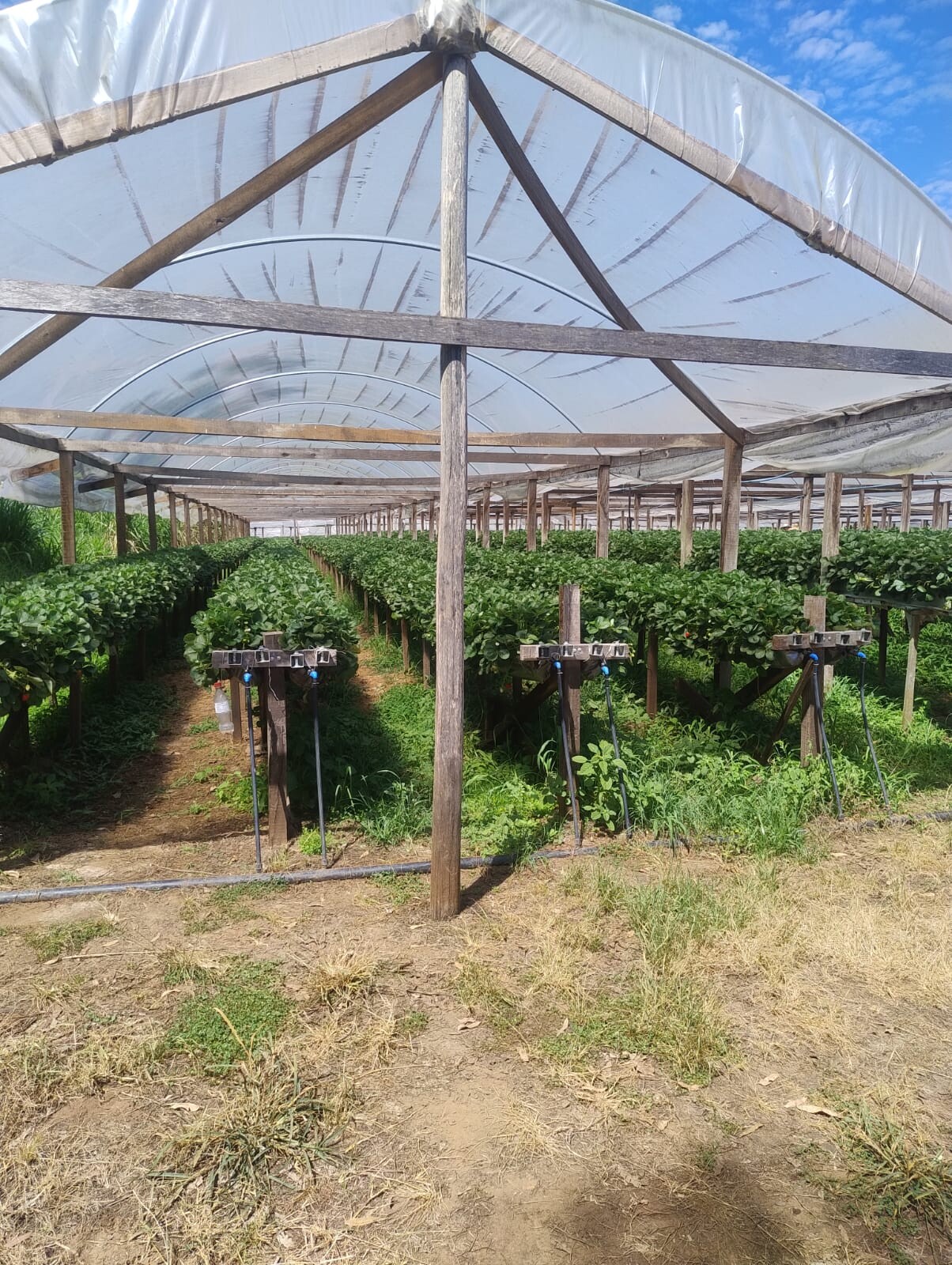 WhatsApp Image 2026-03-10 at 15.50.05 (3).jpeg