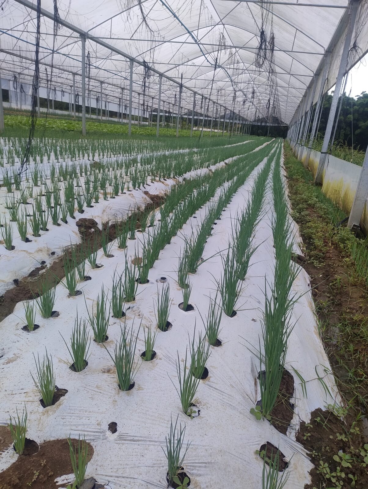 WhatsApp Image 2026-03-10 at 15.50.06 (2).jpeg