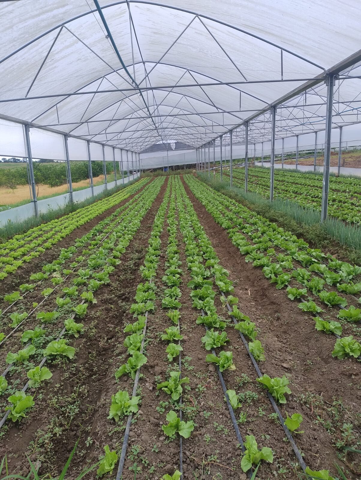 WhatsApp Image 2026-03-10 at 15.50.06 (3).jpeg