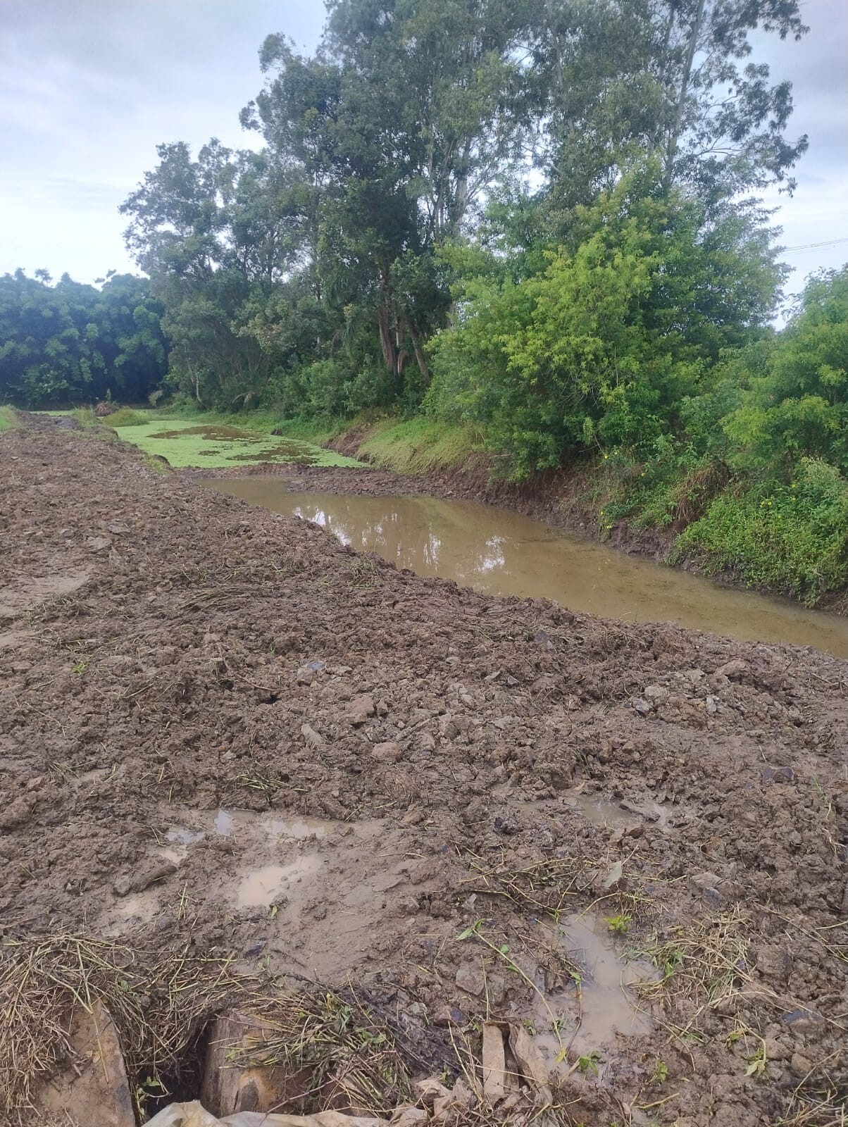 WhatsApp Image 2026-03-10 at 15.50.07 (1).jpeg