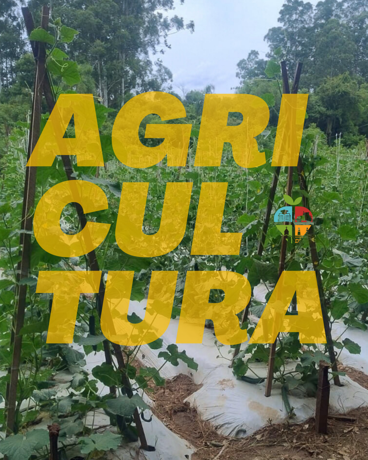 interior-em-foco-municipio-realiza-melhorias-em-acessos-acudes-e-drenagens