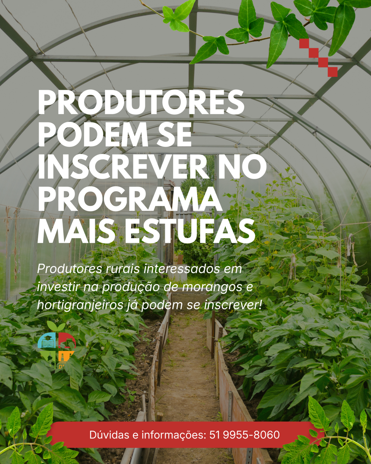 produtores-podem-se-inscrever-no-programa-mais-estufas