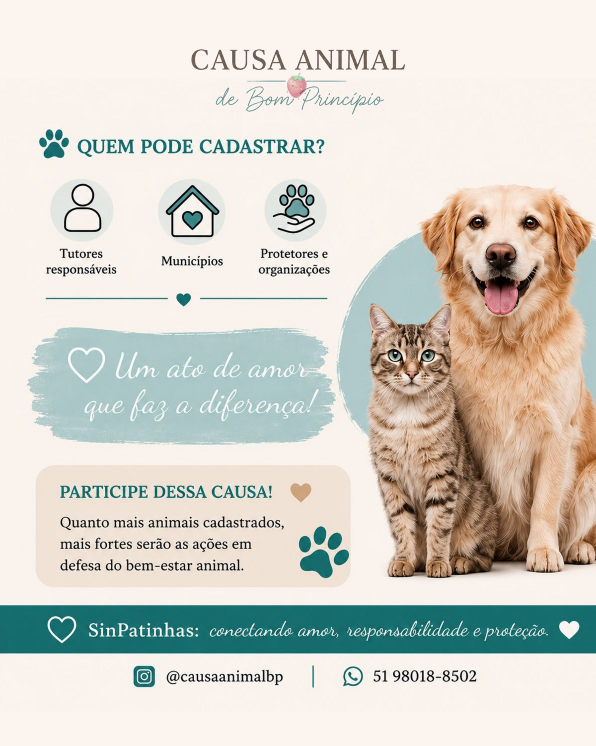 cadastro-nacional-busca-fortalecer-a-protecao-e-o-bem-estar-de-caes-e-gatos