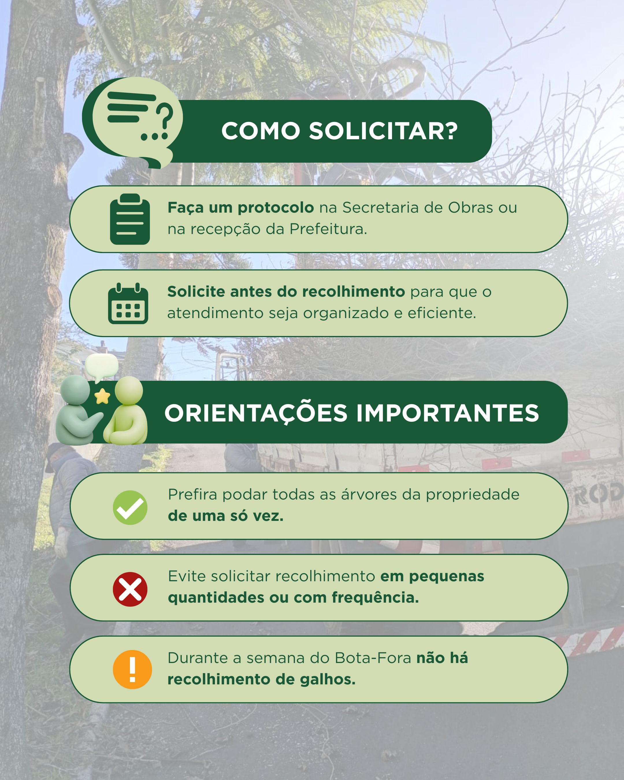 podou suas árvores (1).png