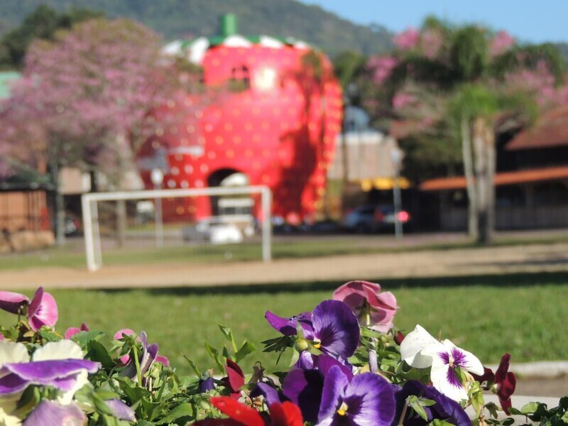 parque-municipal